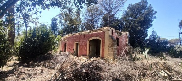 Вилла с 5 комнатами в Matino, Италия № 298715 25