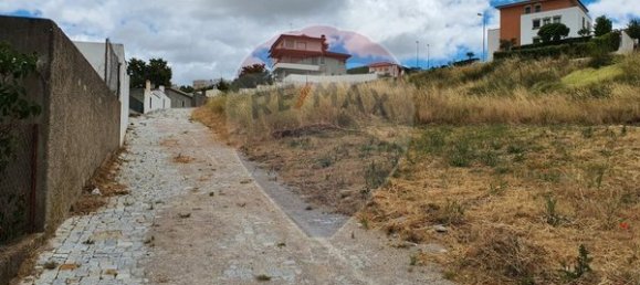 726m² Land in Braganca, Portugal No. 88229 11