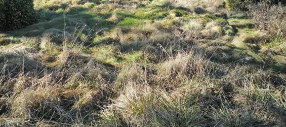 Land in Andritz, Austria No. 154414 4