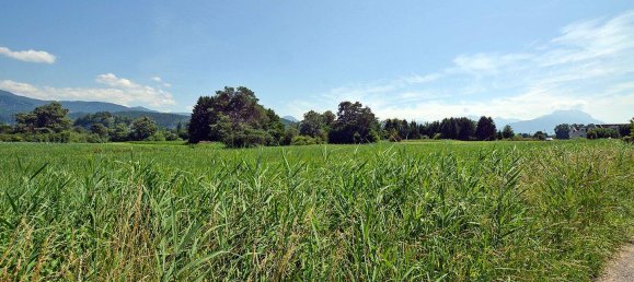 Grundstück in Koblach, Austria, Nr. 252930 11