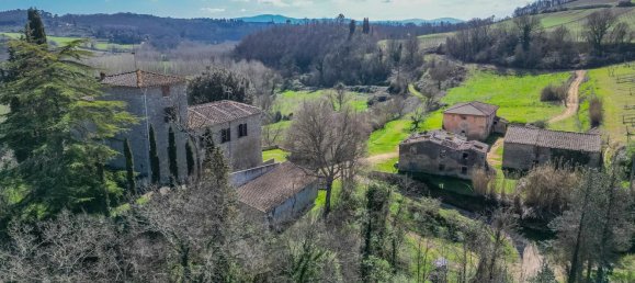 Замки и поместья с 17 комнатами в Колле ди Валь д’Эльса, Италия № 65989 27