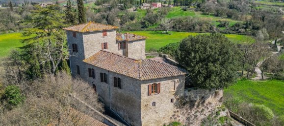 Замки и поместья с 17 комнатами в Колле ди Валь д’Эльса, Италия № 65989 17