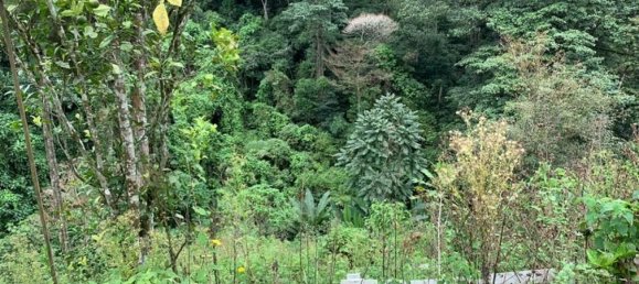 Casa de 3 dormitorios en Sabanilla, Costa Rica No. 1020 3