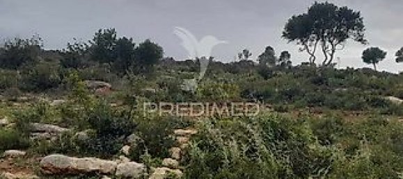 Terreno en Olhao, Portugal 40480 m² No. 31638 4