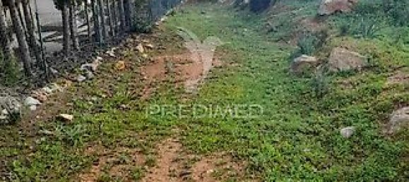 Terreno en Olhao, Portugal 40480 m² No. 31638 11