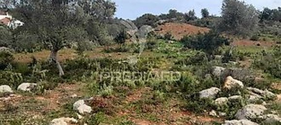 Terreno en Olhao, Portugal 40480 m² No. 31638 9