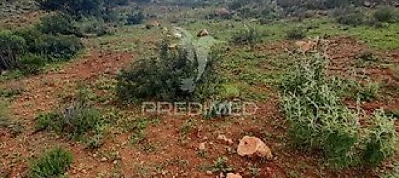 Terreno en Olhao, Portugal 40480 m² No. 31638 7