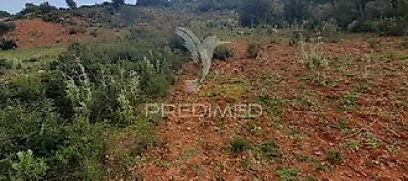 Terreno en Olhao, Portugal 40480 m² No. 31638 3