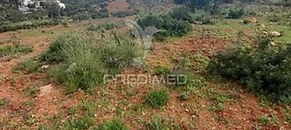 Terreno en Olhao, Portugal 40480 m² No. 31638 10