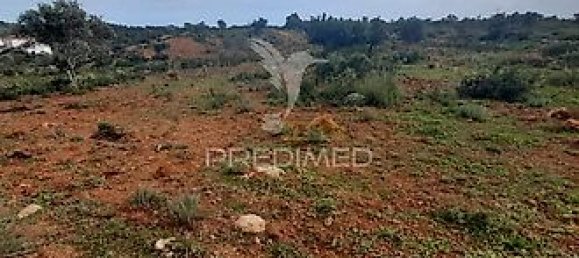 Terreno en Olhao, Portugal 40480 m² No. 31638 2