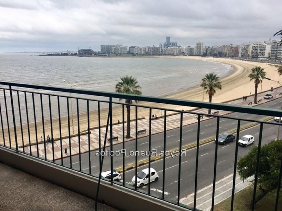 4 Schlafzimmer Wohnung in Montevideo, Uruguay, Nr. 12344