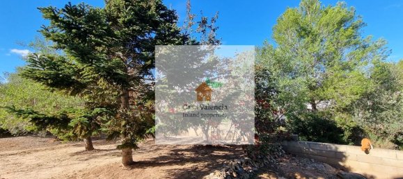 6 bedrooms House in Turis, Spain No. 160082 33