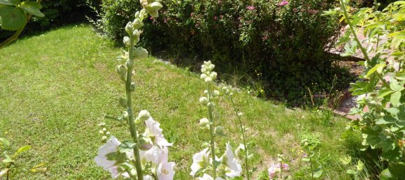 3 bedrooms Townhouse in Wittmund, Germany No. 79373 40