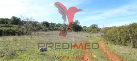 8000m² Land in Paderne, Portugal No. 86896 2