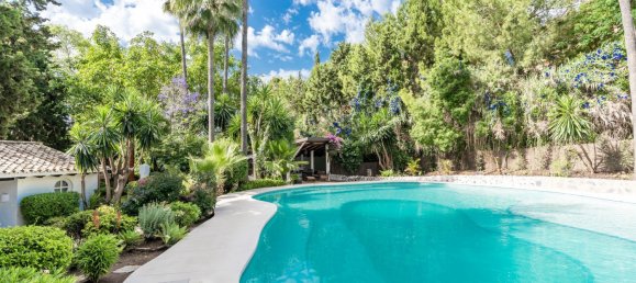 20 bedrooms Villa in Estepona, Spain No. 147560 10