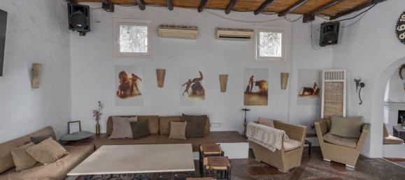 20 bedrooms Villa in Estepona, Spain No. 147560 13