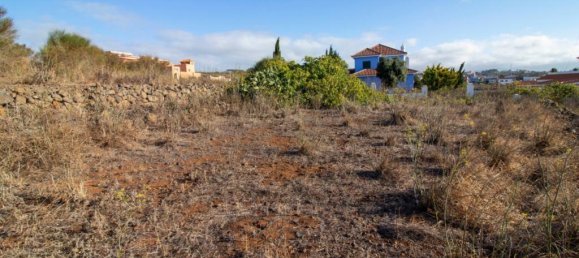 Terreno en El Rosario, Spain 9807 m² No. 69354 48