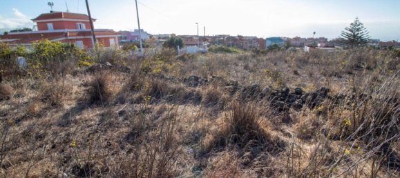 Terreno en El Rosario, Spain 9807 m² No. 69354 57