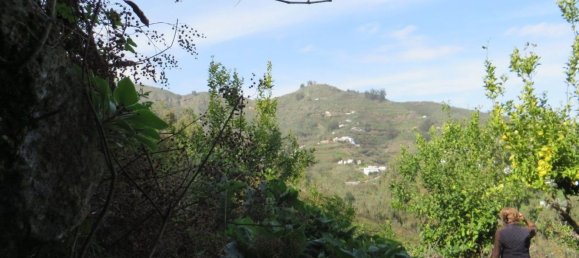 Terreno em Teror, Spain 4288 m² N.º 61616 10