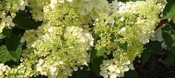 5غرفة تاون هاوس في Kaarst, Germany رقم 61370 12