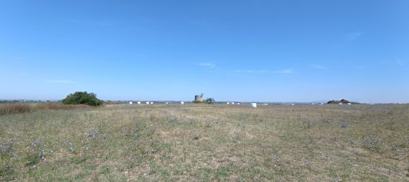  Land in Santarem, Portugal No. 144596 5