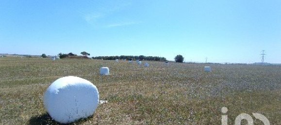  Land in Santarem, Portugal No. 144596 3