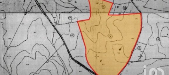  Land in Santarem, Portugal No. 144596 8