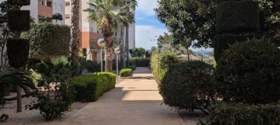 Apartamento de 2 dormitorios en Guardamar del Segura, Spain No. 174655 30