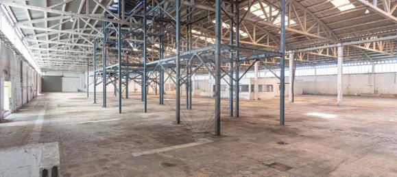 4000m² Warehouse in Marinha Grande, Portugal No. 82210 24