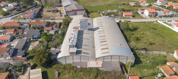 4000m² Warehouse in Marinha Grande, Portugal No. 82210 6