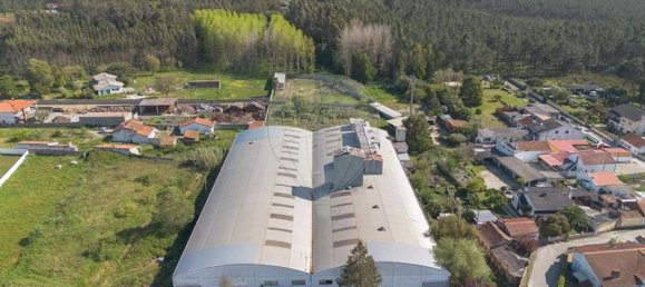 4000m² Warehouse in Marinha Grande, Portugal No. 82210 5