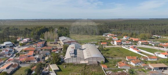 4000m² Warehouse in Marinha Grande, Portugal No. 82210 7