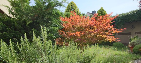 Коммерческая недвижимость с 6 комнатами в Бёрде, Германия № 336653 5