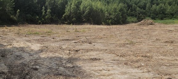 4100m² terrain à vendre à Chalkidiki, Central Macedonia, Macedonia and Thrace, Greece № 92891 5