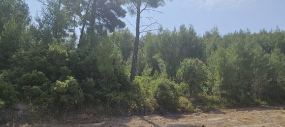 4100m² terrain à vendre à Chalkidiki, Central Macedonia, Macedonia and Thrace, Greece № 92891 4