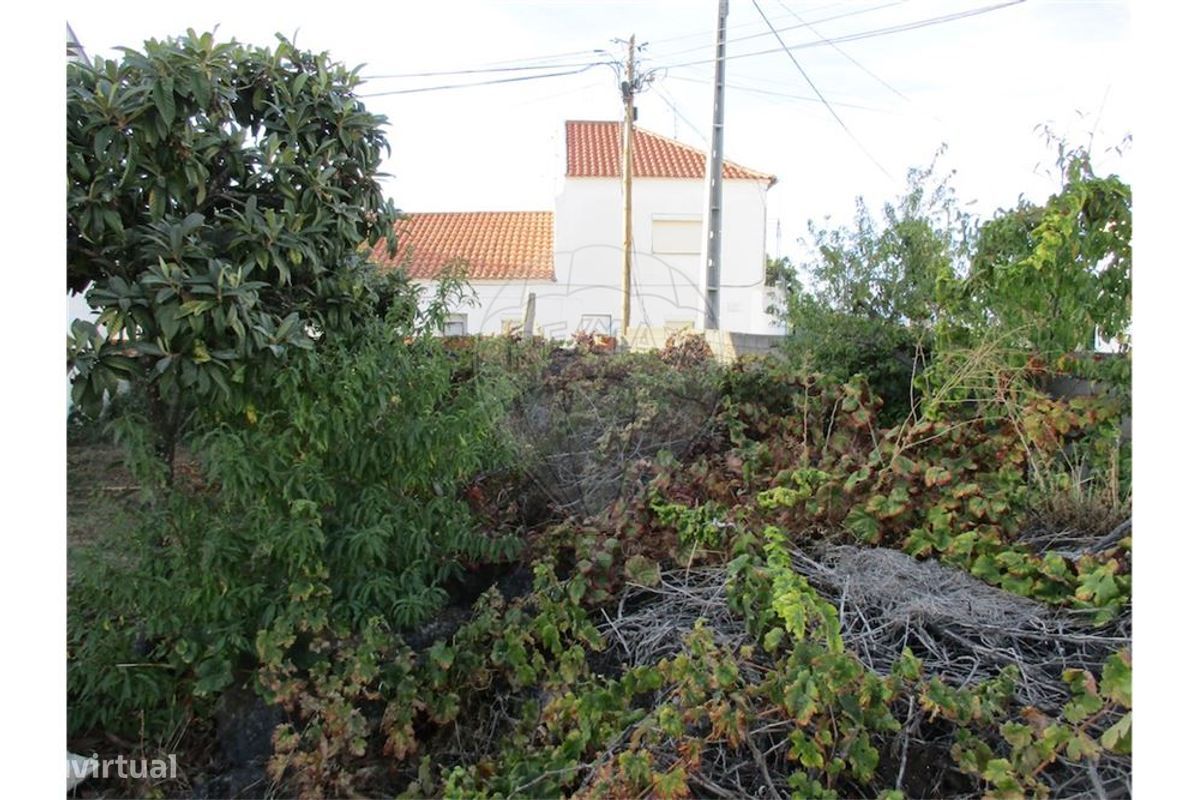 9 bedrooms House in Castelo Branco, Portugal No. 62563