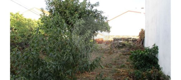 9 bedrooms House in Castelo Branco, Portugal No. 62563 8