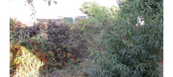 9 bedrooms House in Castelo Branco, Portugal No. 62563 3