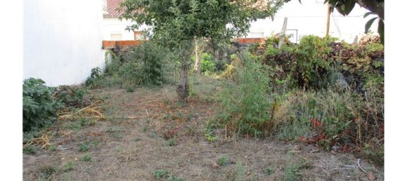 9 bedrooms House in Castelo Branco, Portugal No. 62563 4