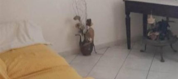 4 rooms House in Campi Bisenzio, Italy No. 28650 16