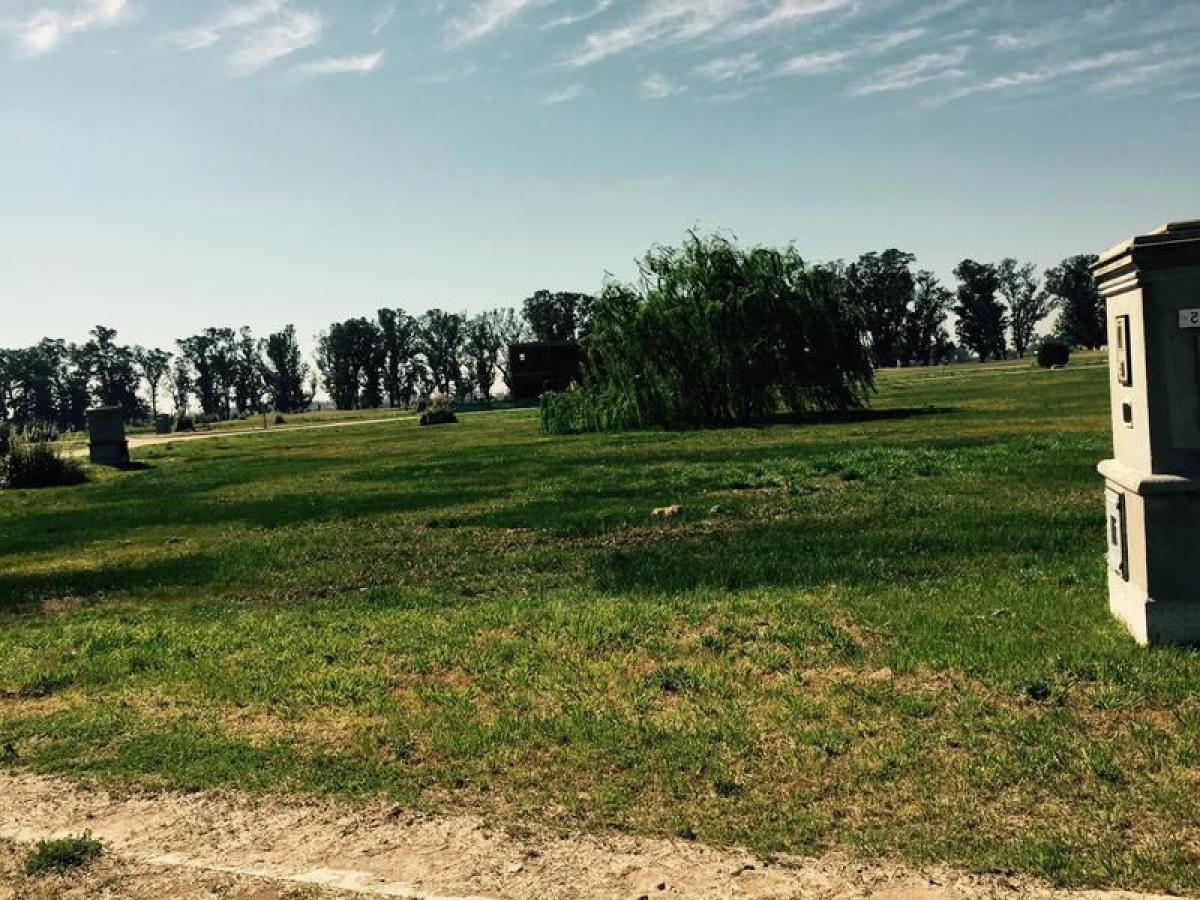  Land in San Vicente, Argentina No. 39315