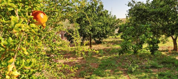 2 غرف نوم فيلا في Choletria, Cyprus رقم 22898 20