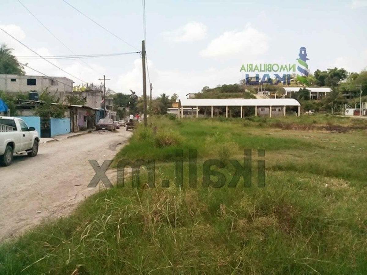  Land in Veracruz, Mexico No. 203112