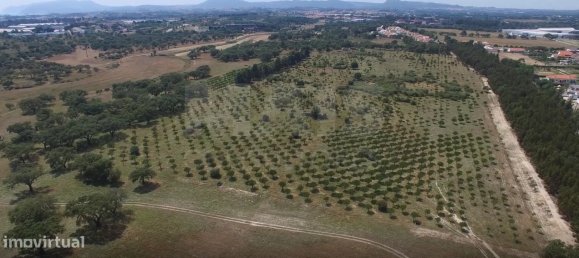  Castillos de 9 dormitorios en Setubal, Portugal No. 137800 6