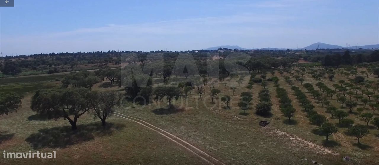  Castillos de 9 dormitorios en Setubal, Portugal No. 137800