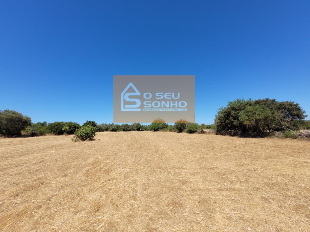  Land in Faro, Portugal No. 216517