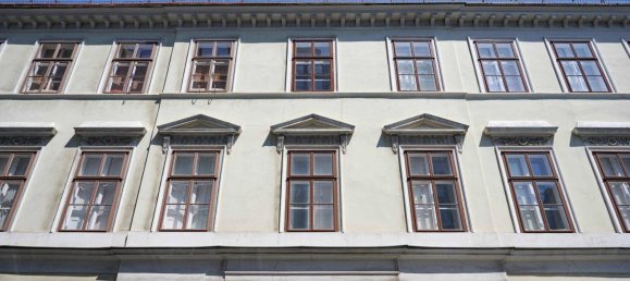 4 rooms Apartment in Neubau, Austria No. 148778 11