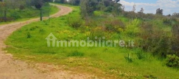 قطعة أرض في Aglientu, Italy 317733متر مربع رقم 322540 6