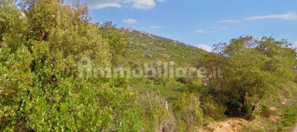 قطعة أرض في Aglientu, Italy 317733متر مربع رقم 322540 2