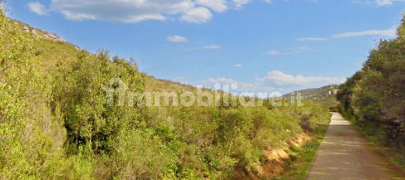 قطعة أرض في Aglientu, Italy 317733متر مربع رقم 322540 3